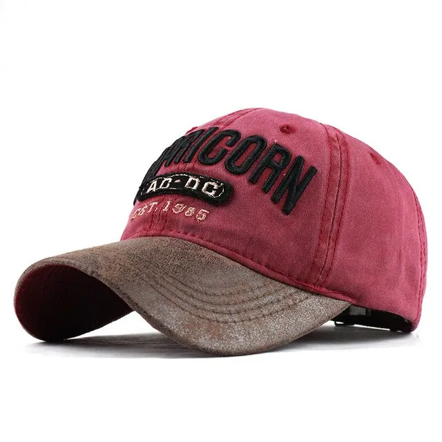 Capricorn AC DC Embroidered Snapback Baseball Cap