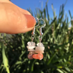 Lesbian Pride Silver Hook HYPOALLERGENIC  Earrings 🏳️‍🌈