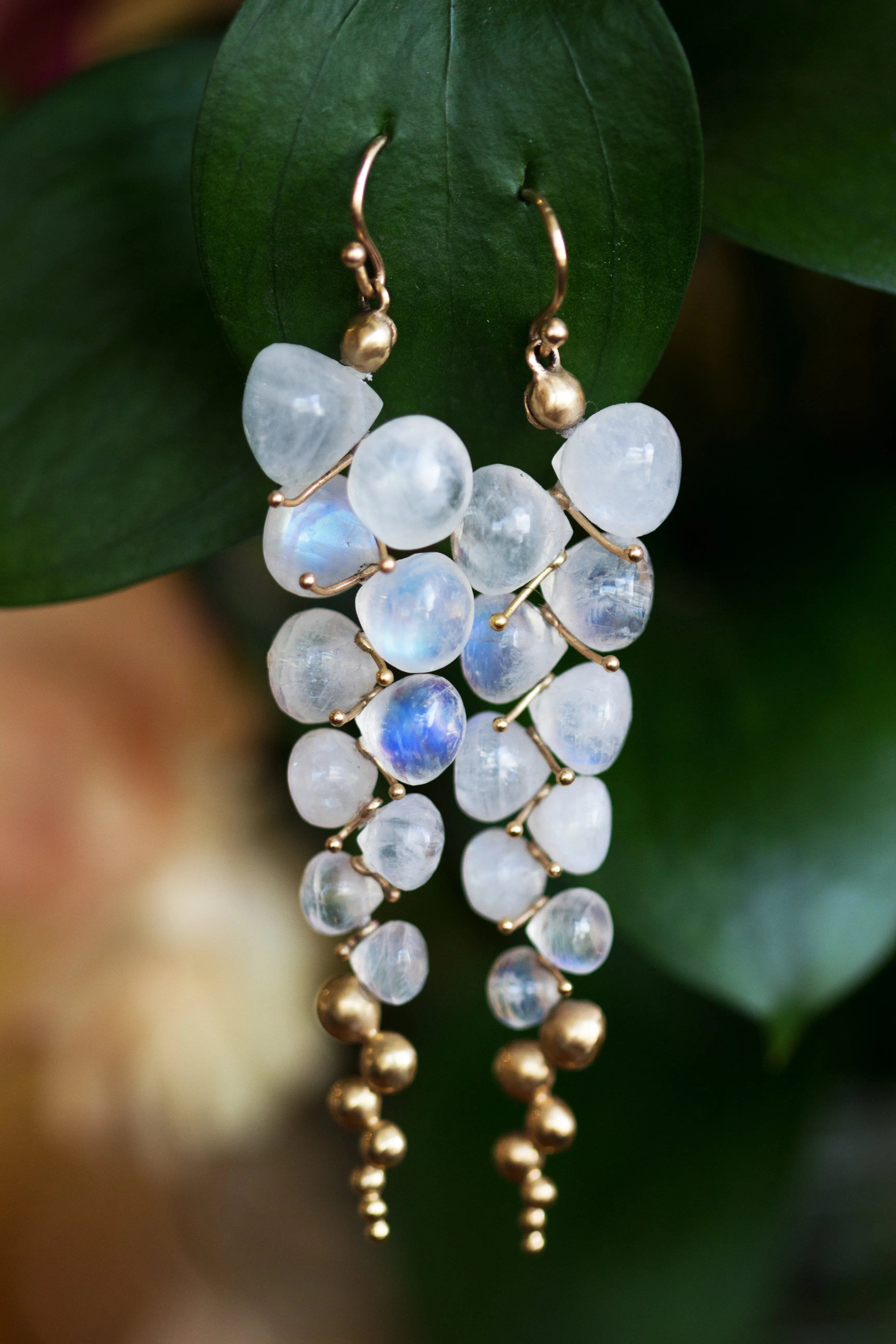 Moonstone & Yellow Gold Earrings - "Large Caviar"