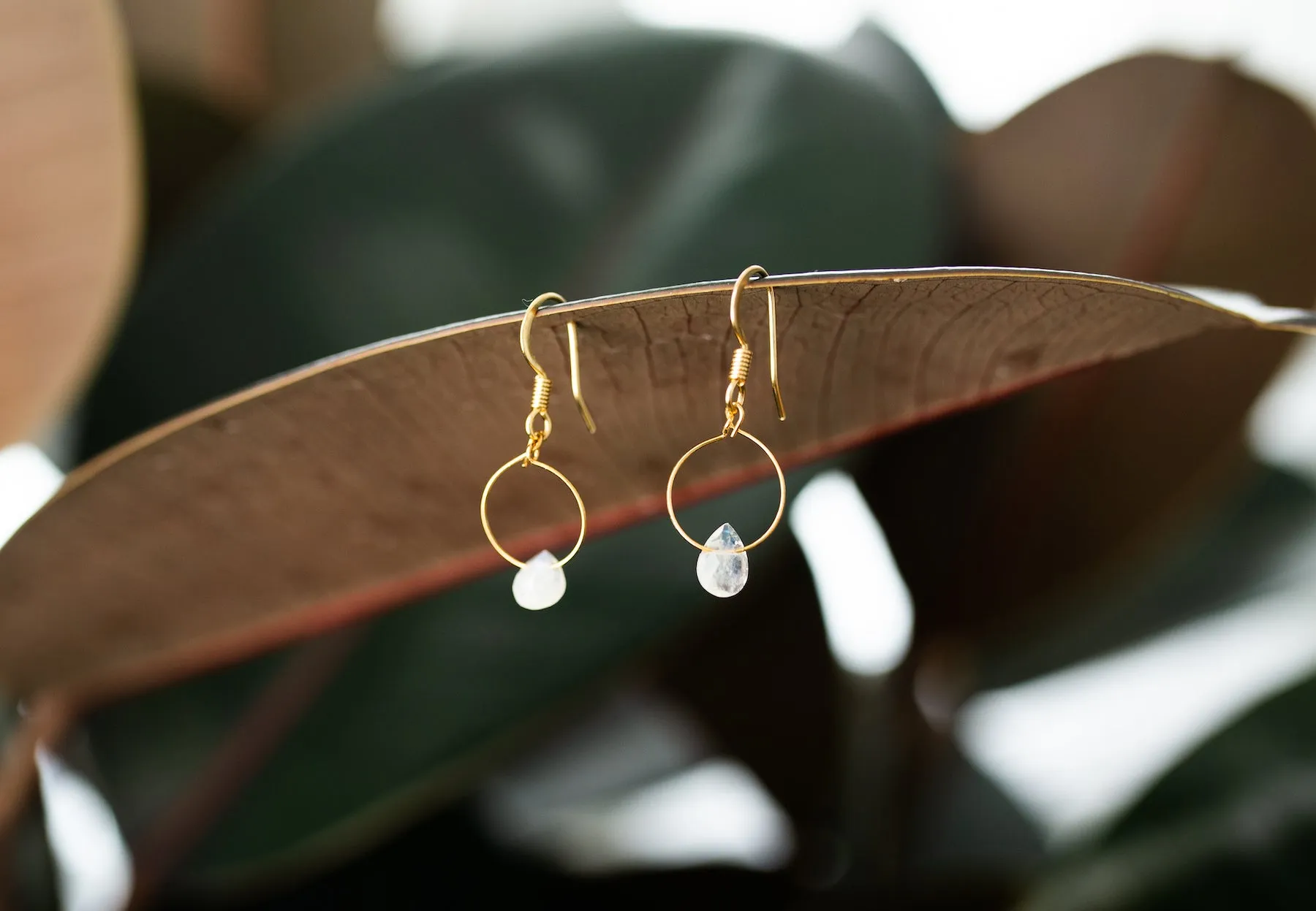 Moonstone Hoop Earrings